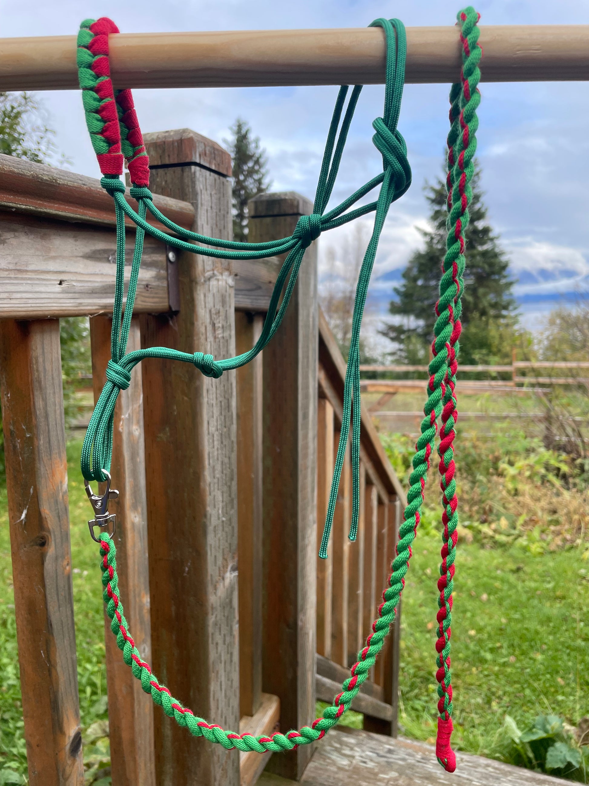 Green and red hobby horse halter hanging on a stick outside on a greenery background. 