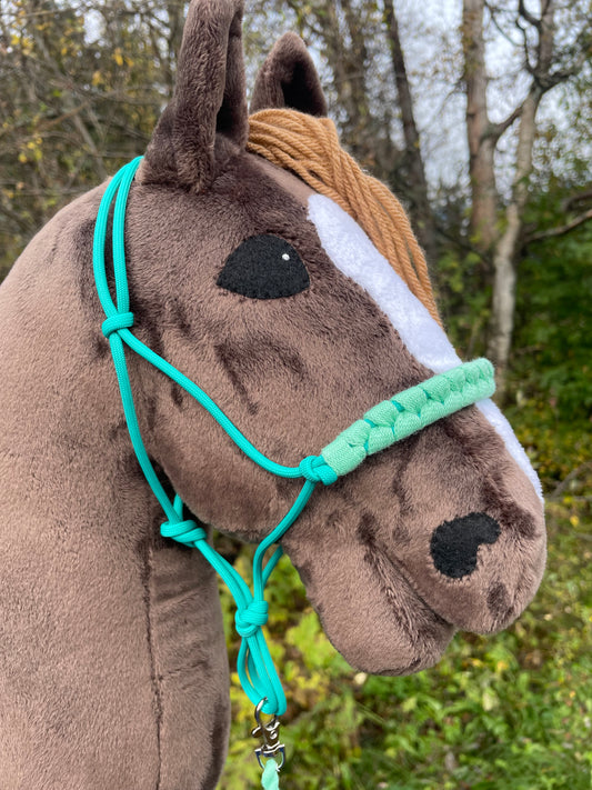Brown hobby horse wearing a teal color rope halter forest background. 
