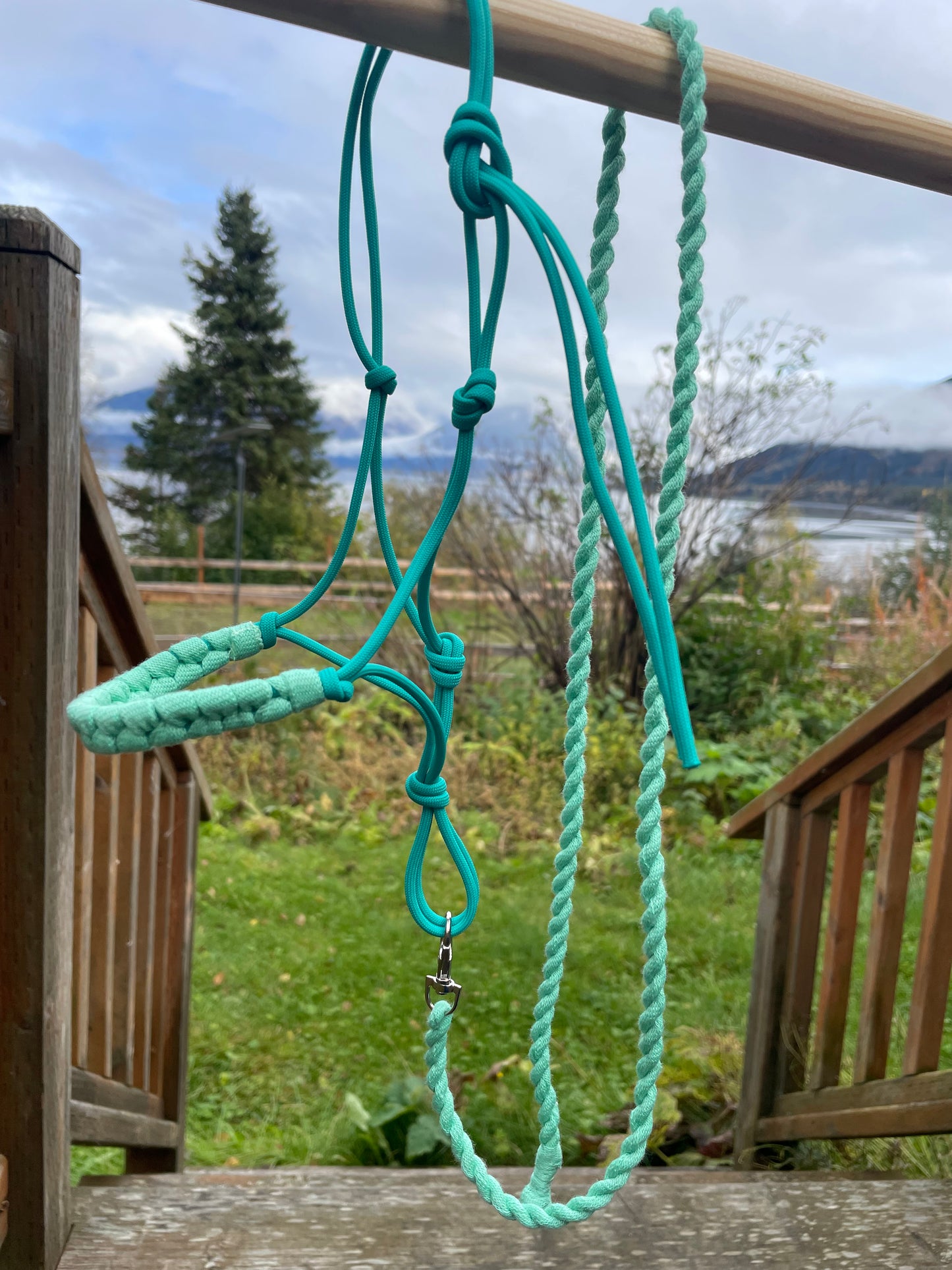 Teal color rope halter and lead rope on a nature background. 