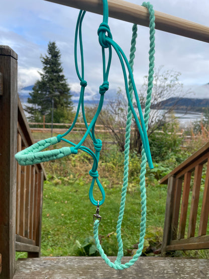 Teal color rope halter and lead rope on a nature background. 