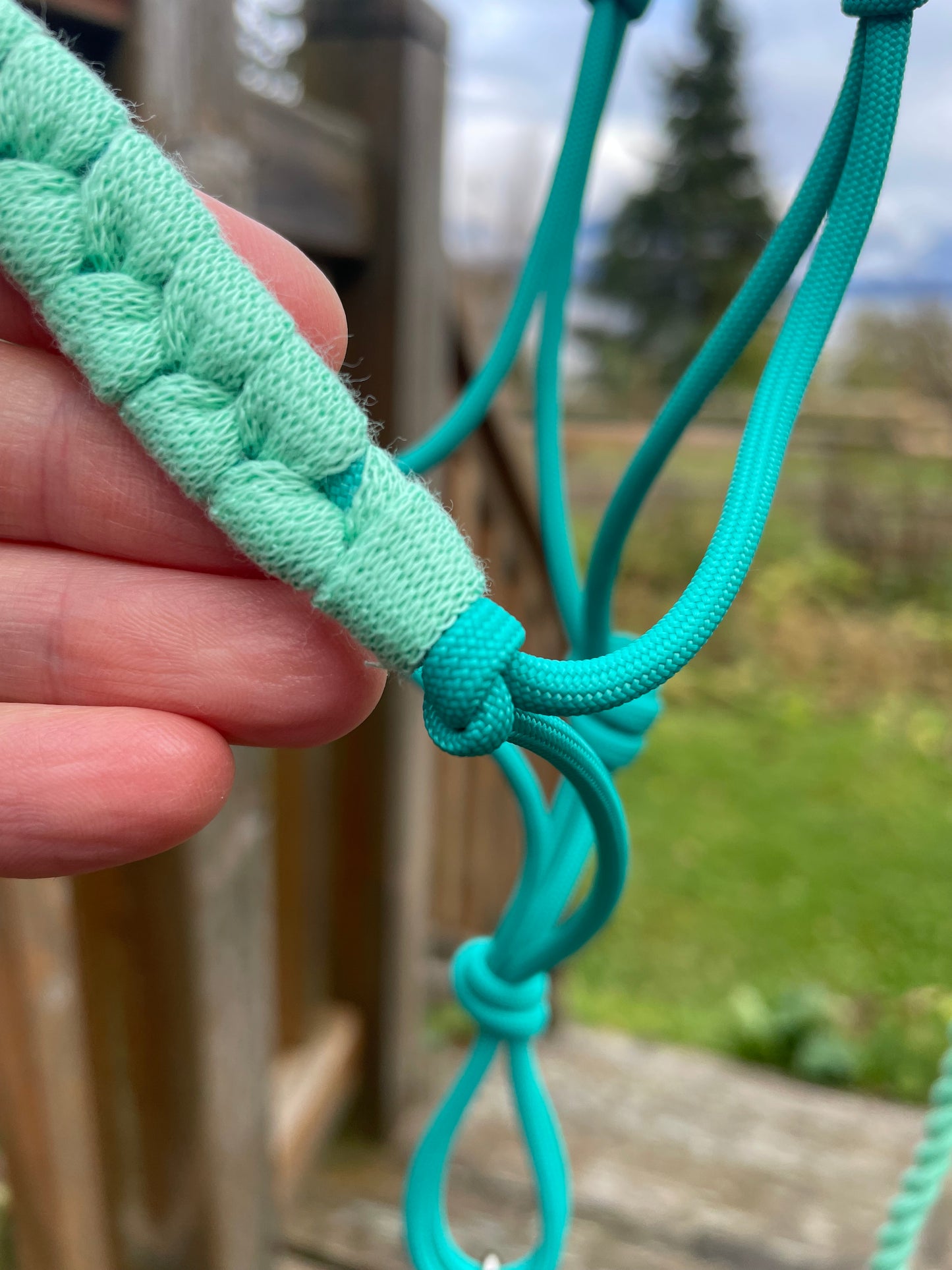 Close-up of a hand holding a teal color rope halter on a nature background. 