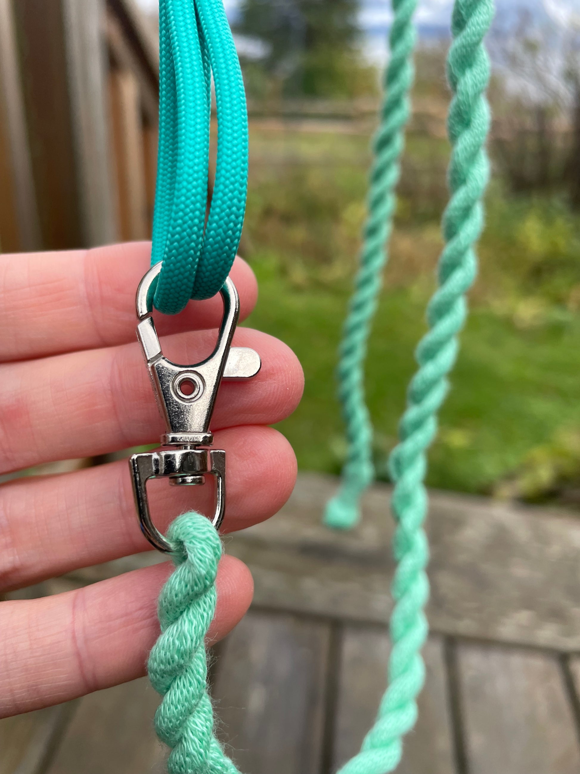 Close-up of a hand holding a teal color lead rope on a nature background. 