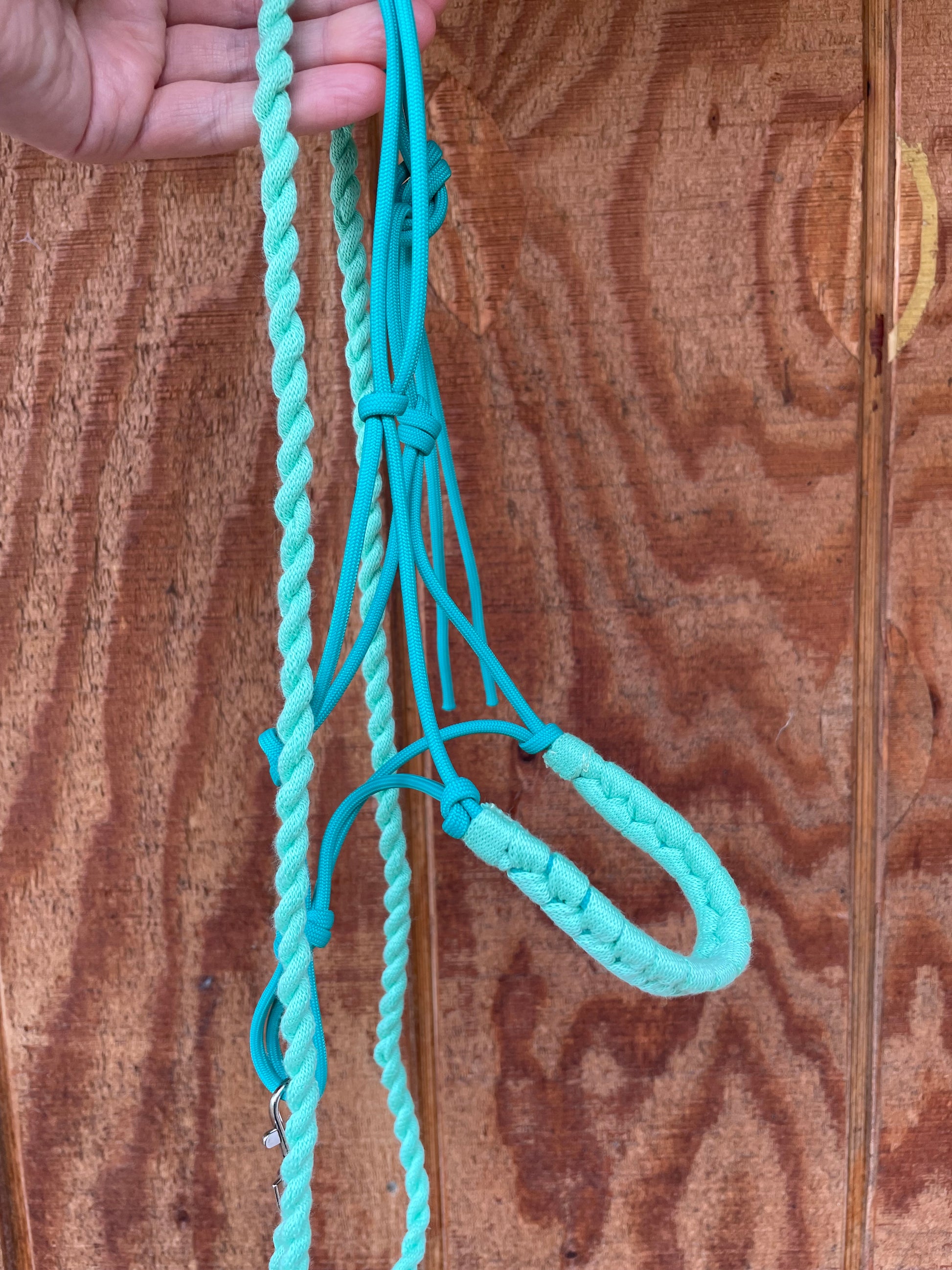  Hand holding a teal color rope halter on a wooden background. 