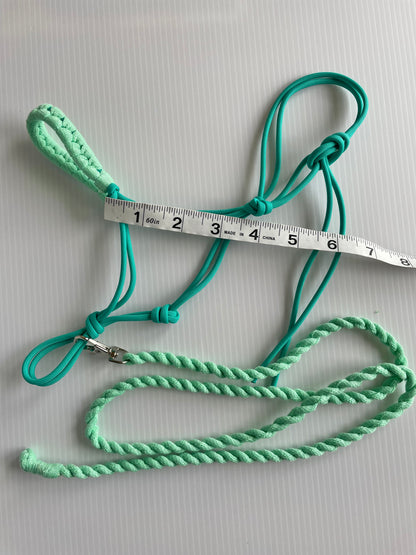 Hobby horse halter and lead rope teal