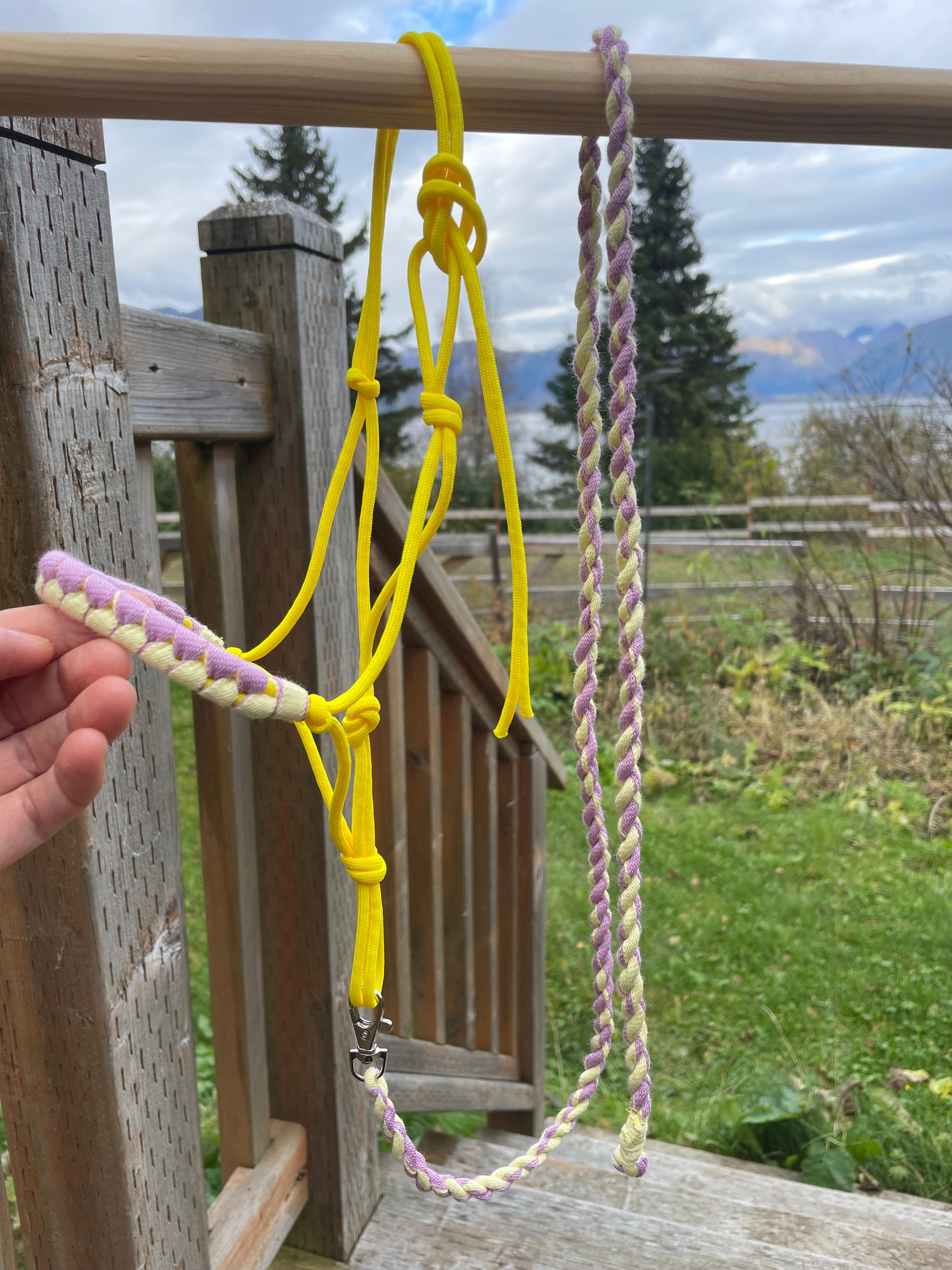 Hand holding a yellow hobby horse rope halter and lead rope hanging on a wooden stick against a natural background
