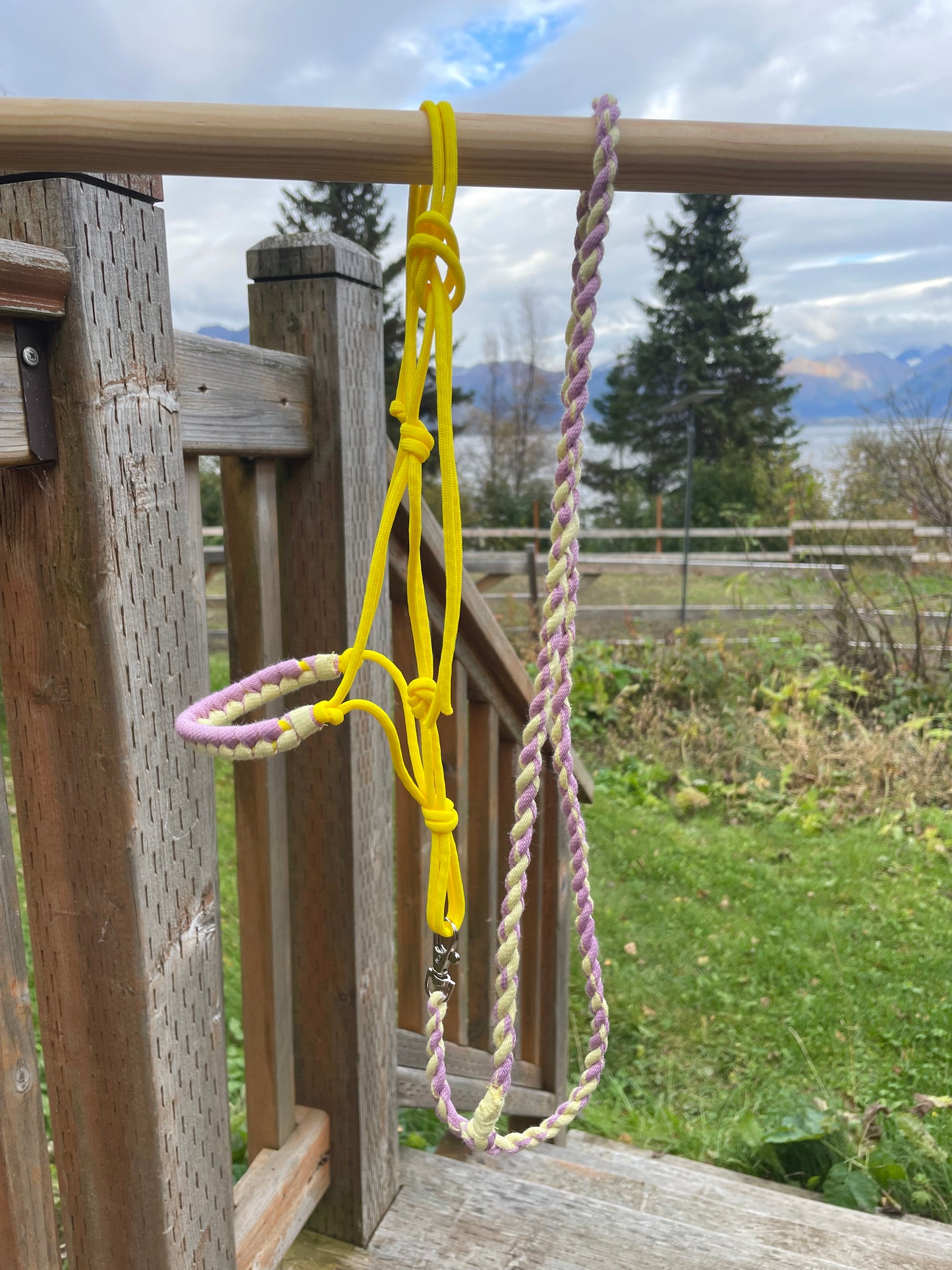 Yellow hobby horse rope halter and lead rope hanging on a wooden stick against a natural background
