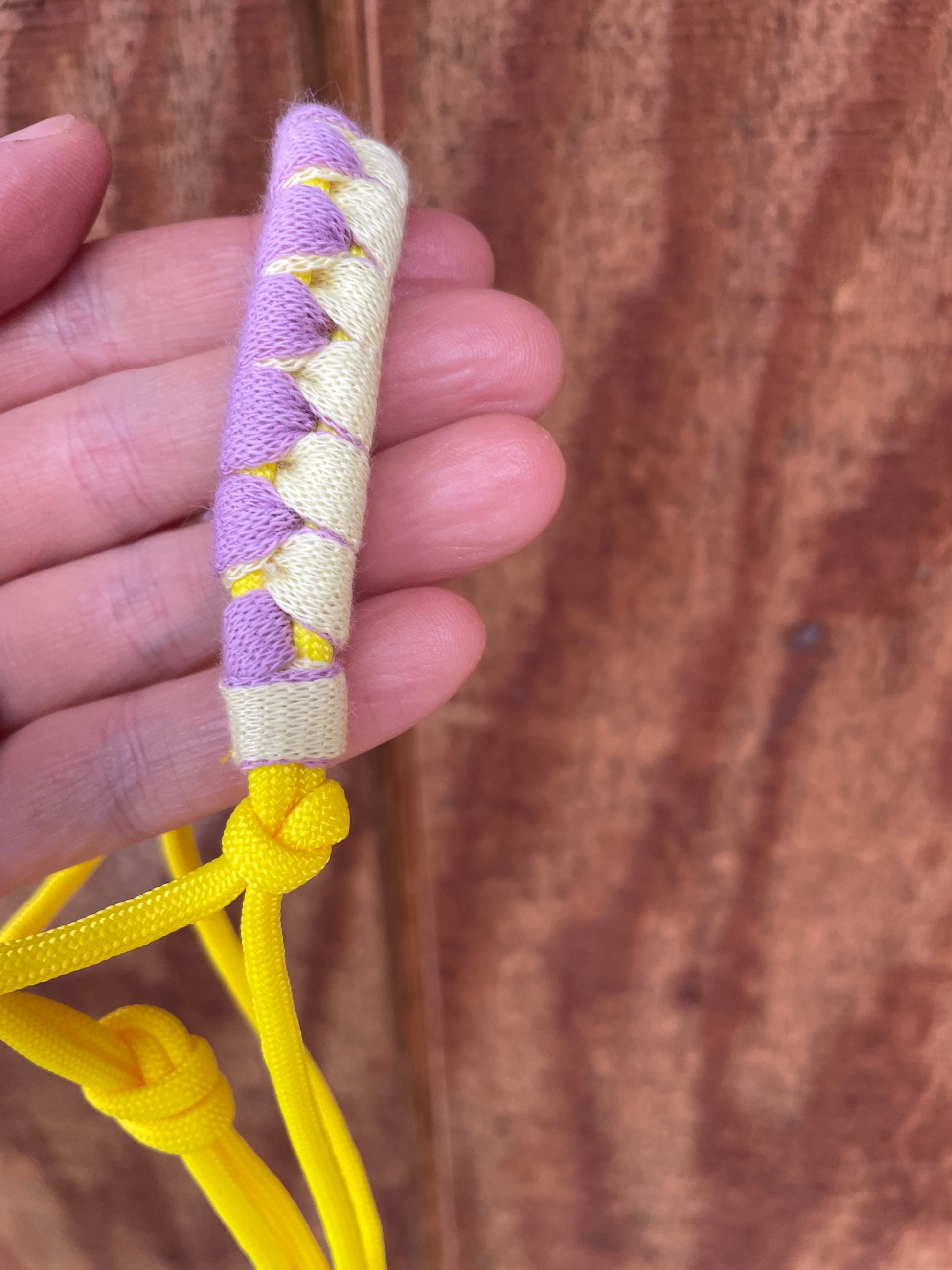 Hand holding a yellow and purple hobby horse halter against a wooden background
