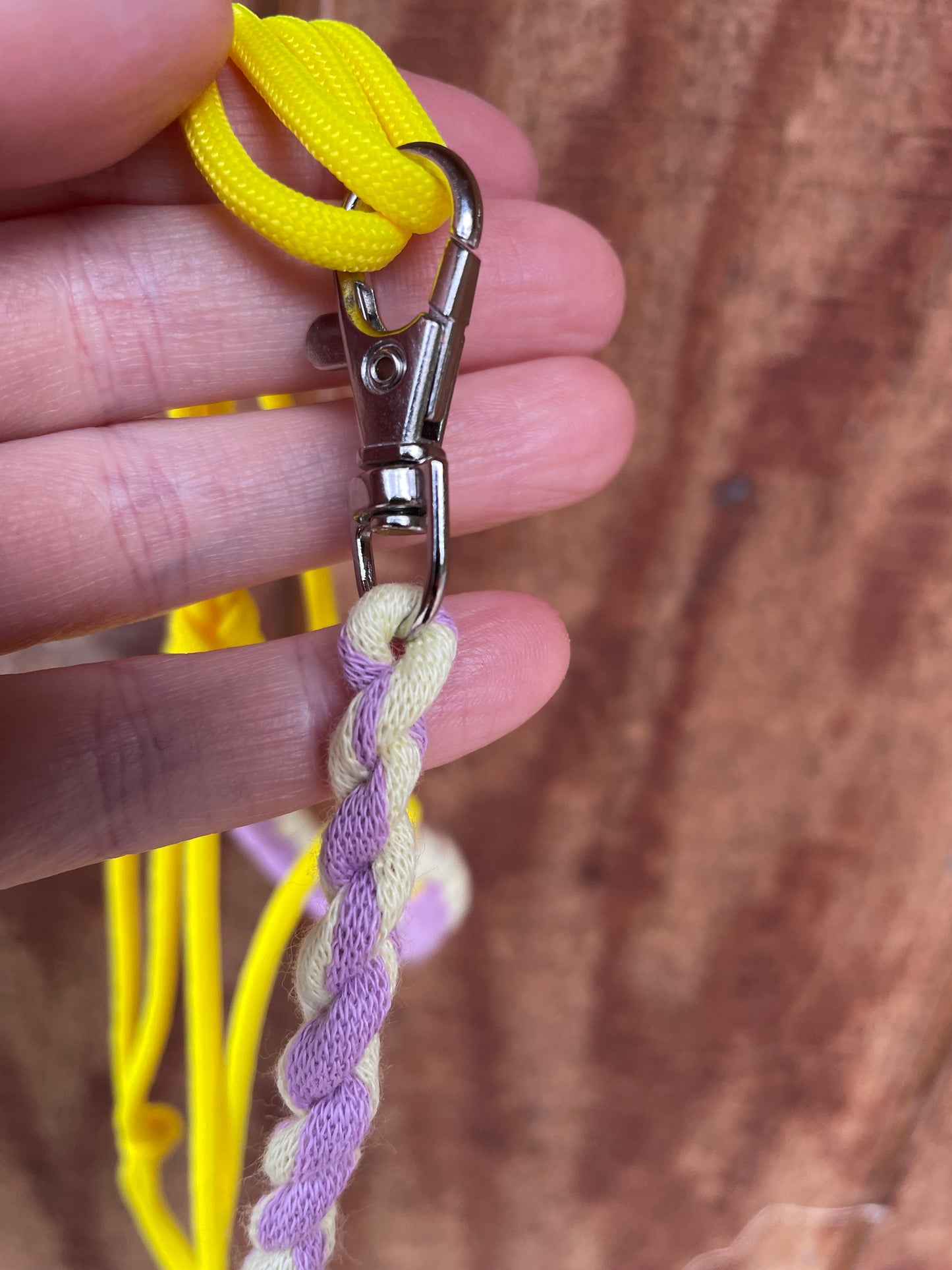 Close-up of a hand holding a yellow and purple lead rope with a metal clip against a wooden background