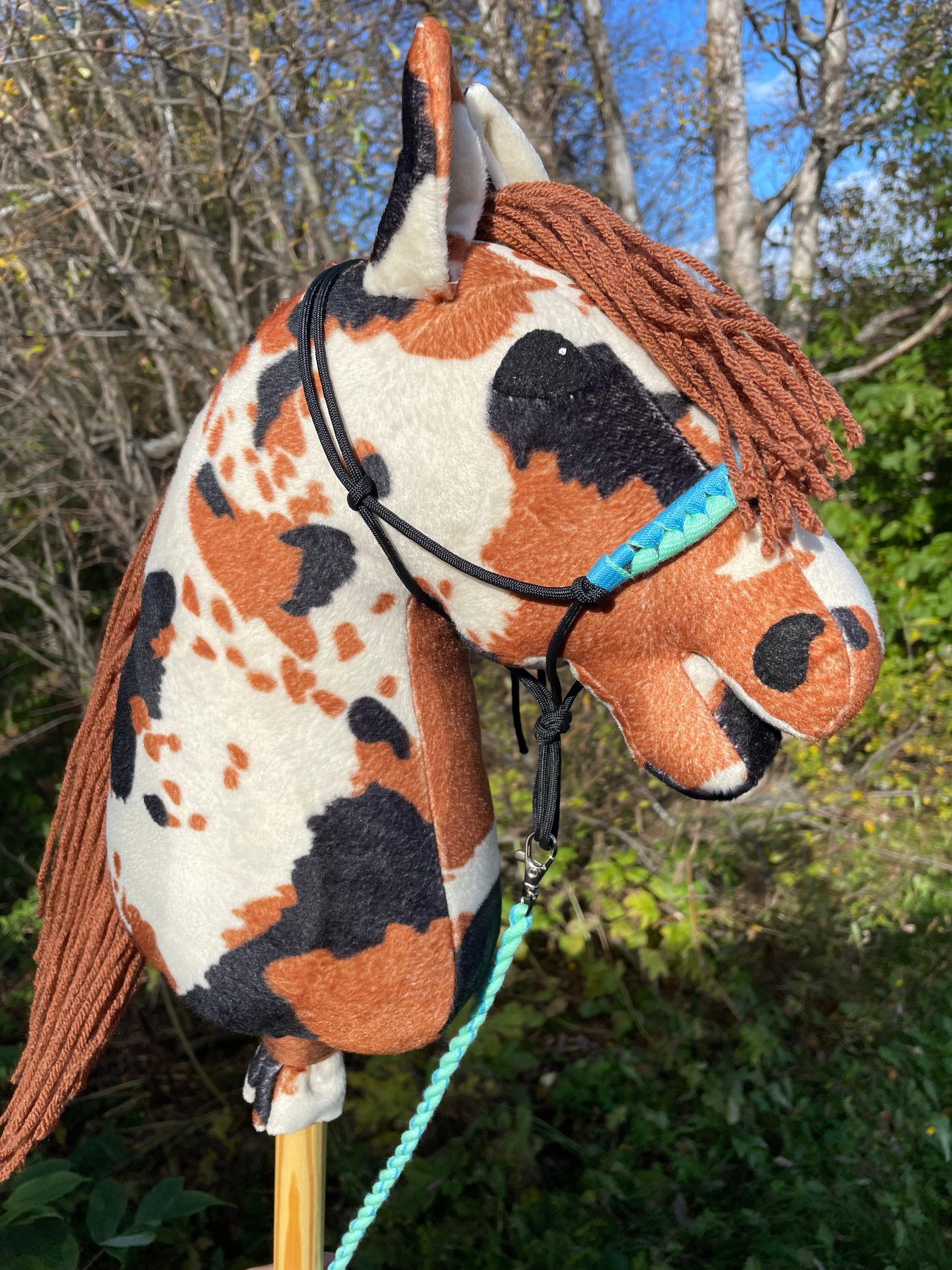 Hobby horse cow pattern pinto wearing a halter against a natural background.