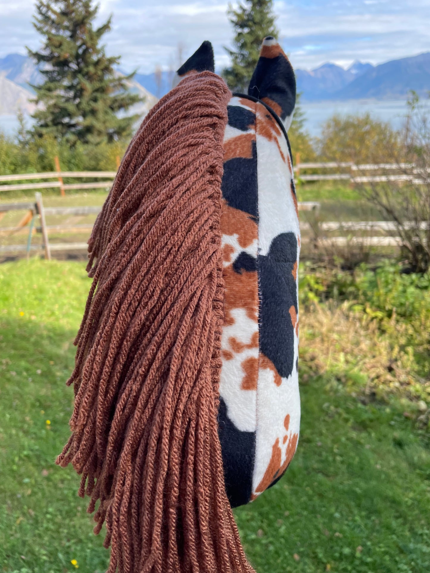 Hobby horse pinto pictured from behind in a natural outdoor setting. The horse has a brown mane.