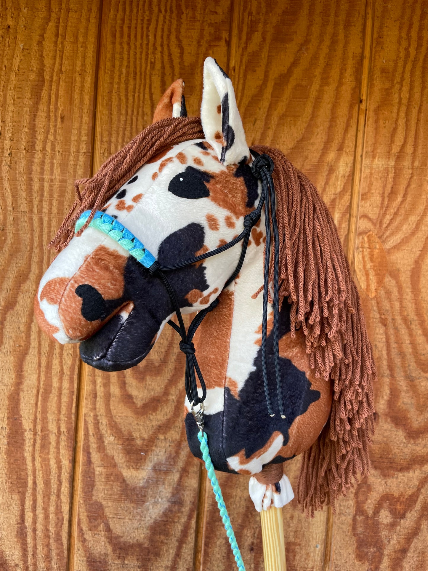 Hobby horse cow pattern pinto wearing a halter on a wooden surface.