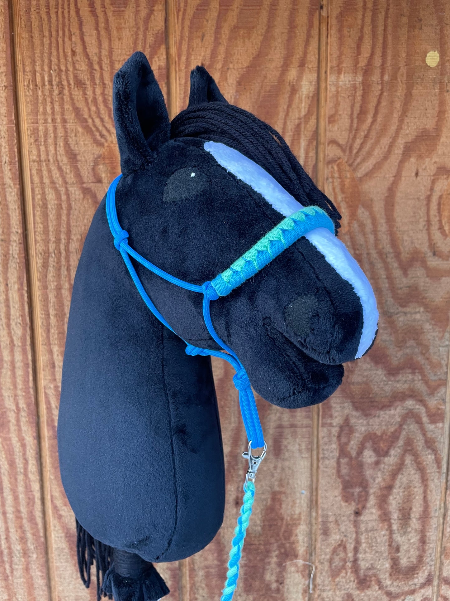 Black hobby horse with blue halter on a wooden surface