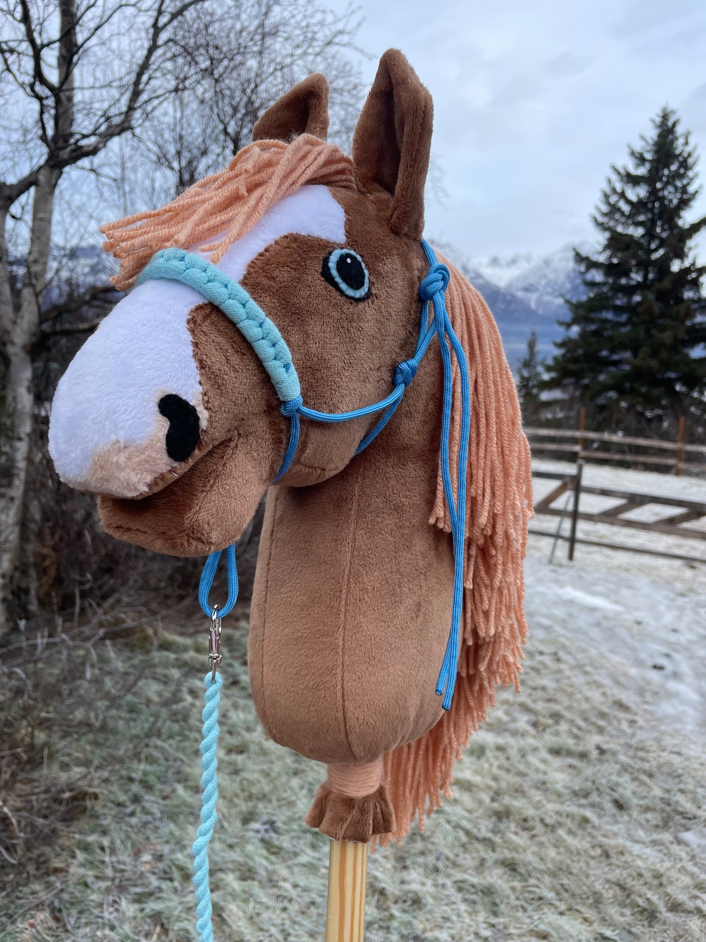 Custom order hobby horse