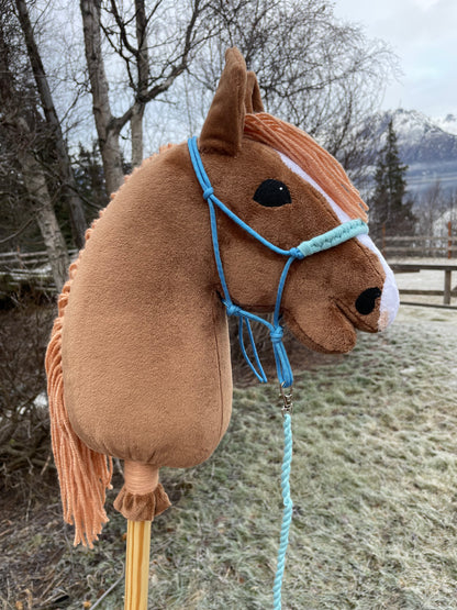 Custom order hobby horse