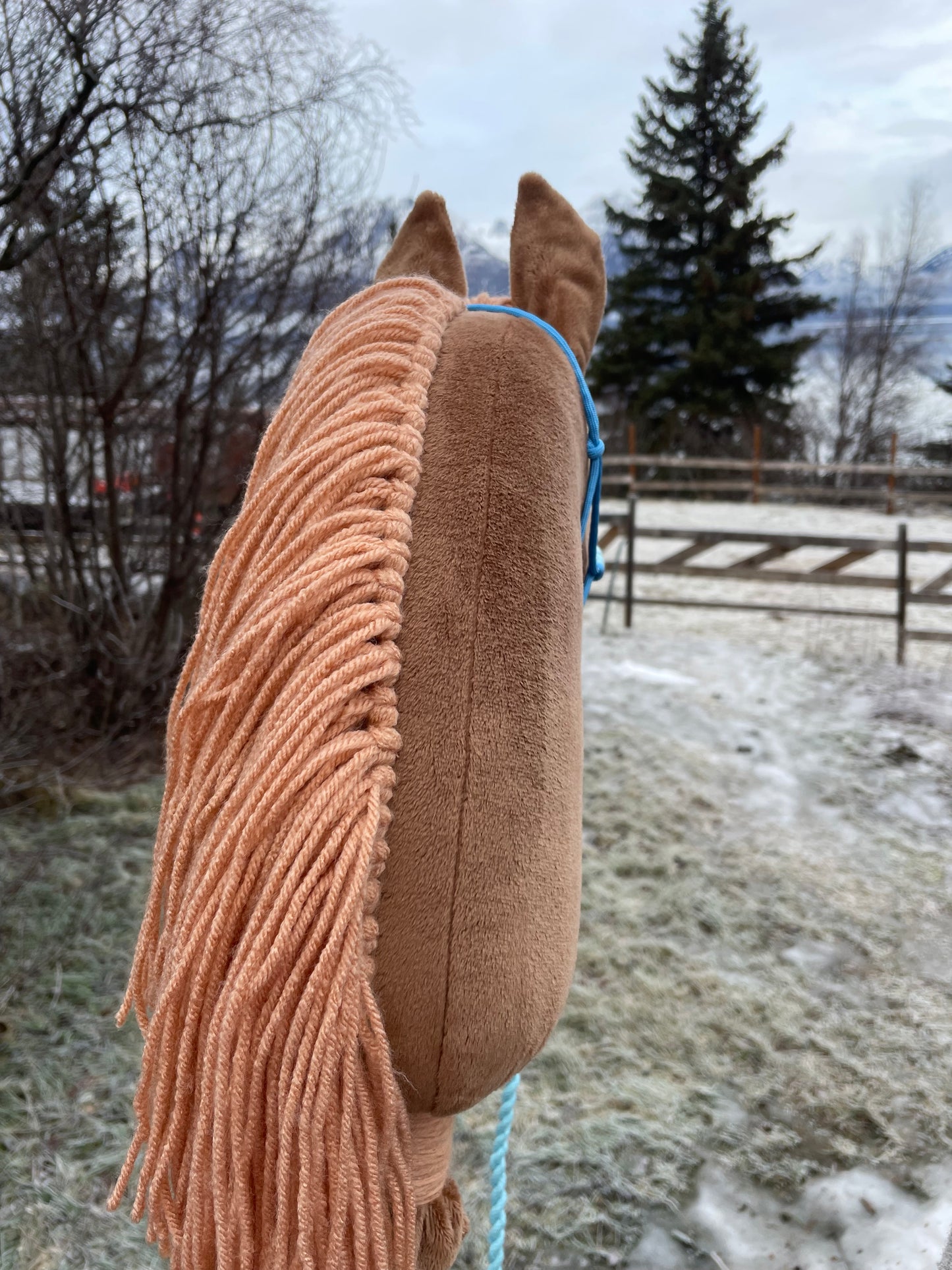 Custom order hobby horse