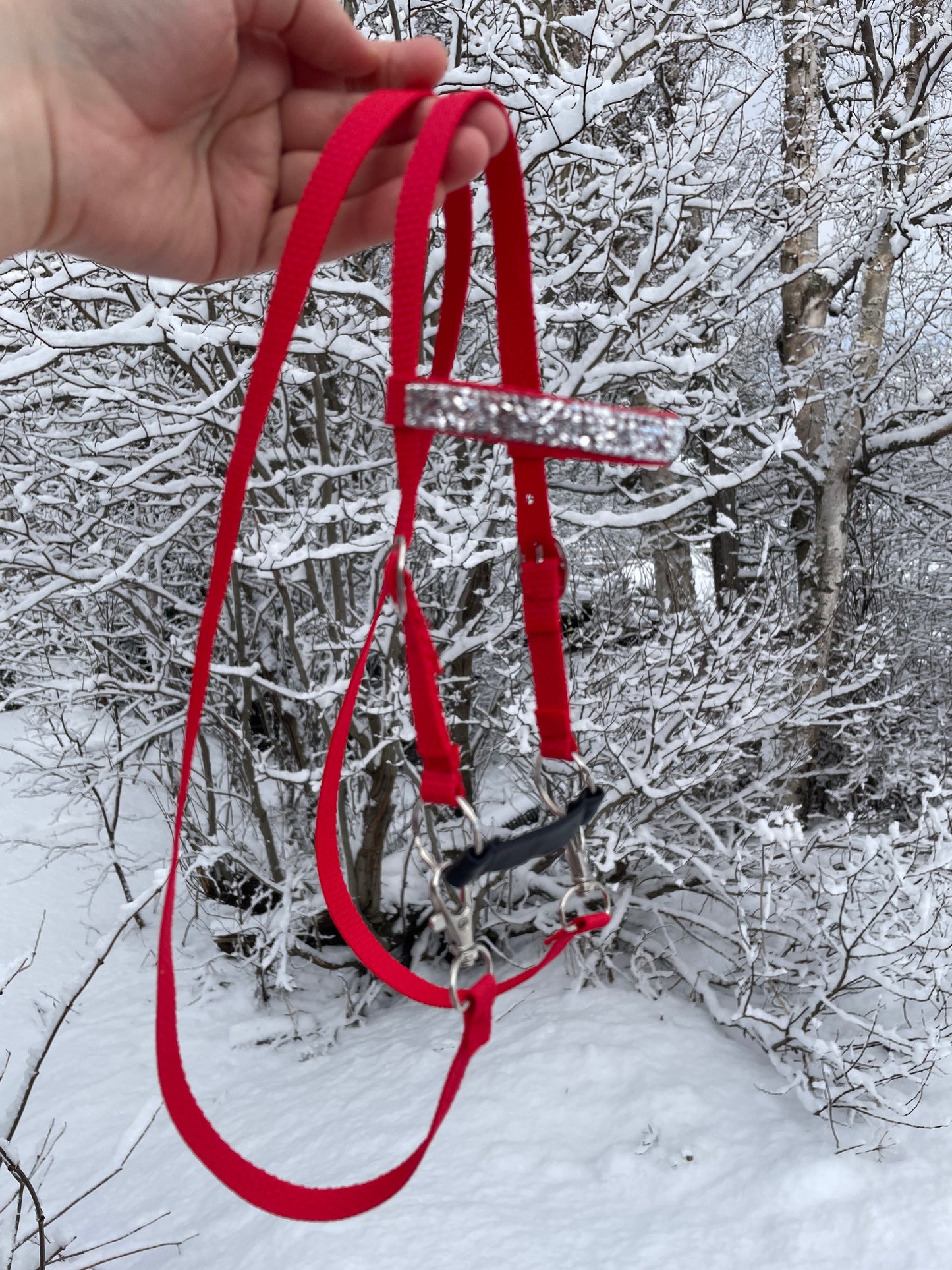 Red hobby horse bridle held in front of a snowy landscape with trees.