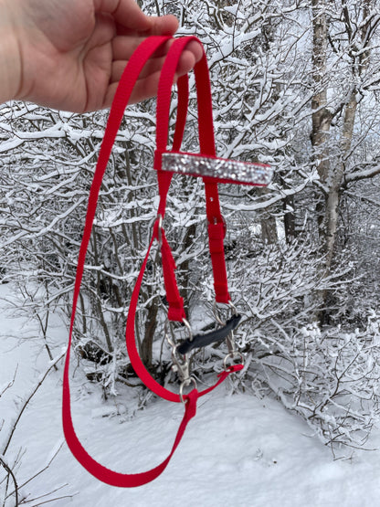 Red hobby horse bridle held in front of a snowy landscape with trees.