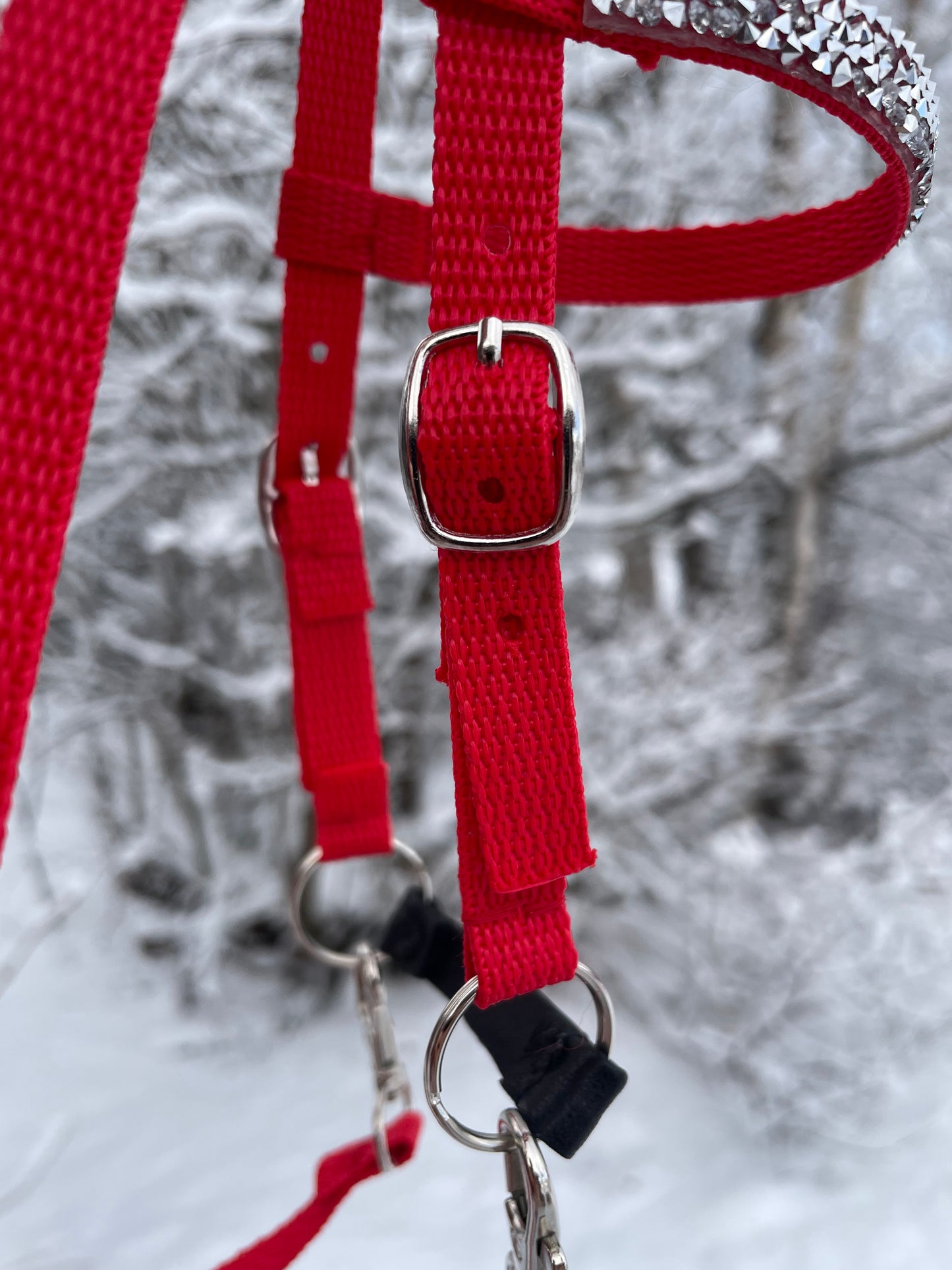 Red hobby horse bridle showing a close of a buckle against a blurred snowy background