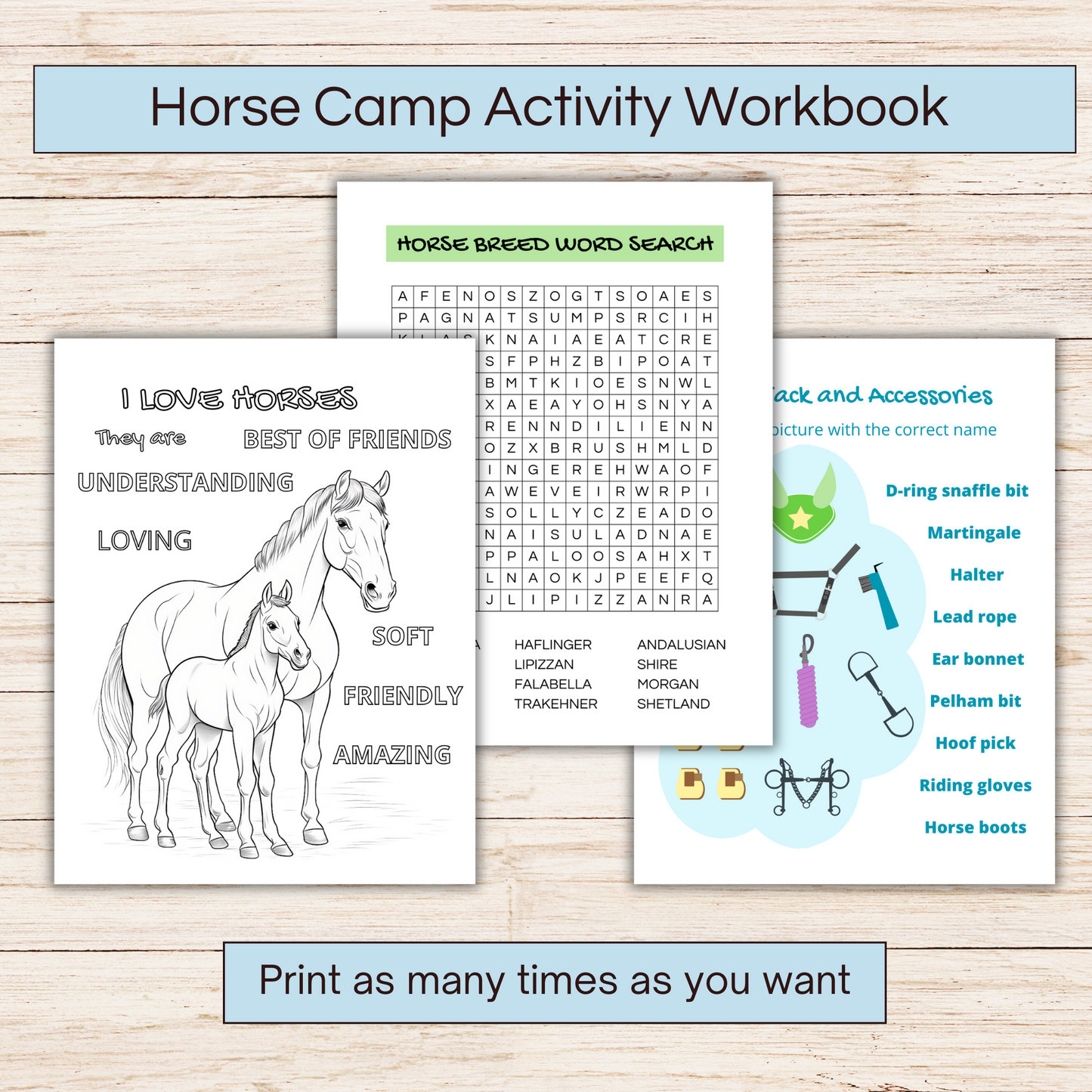 Horse camp activity book showing 3 pages 