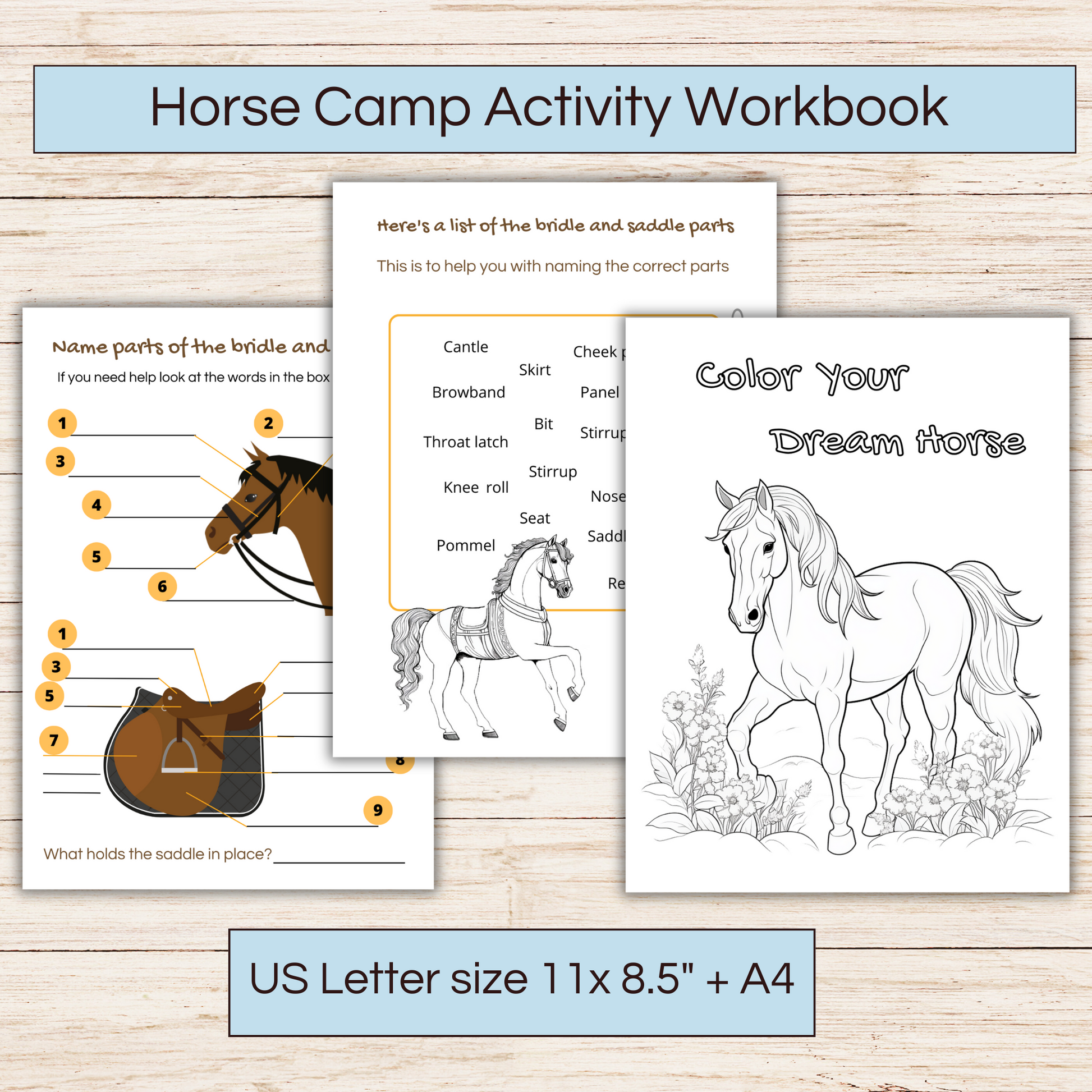 Horse camp activity book showing 3 pages 