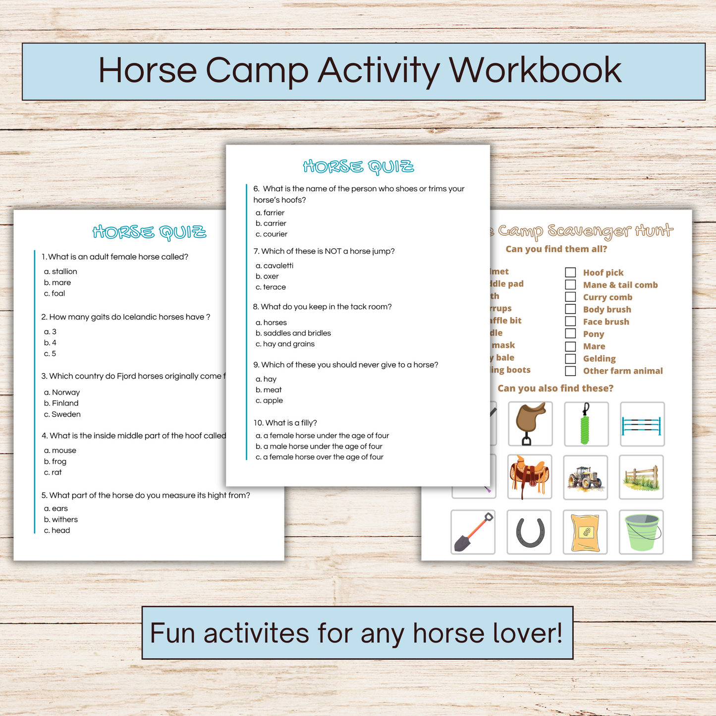 Horse camp activity book showing 3 pages 