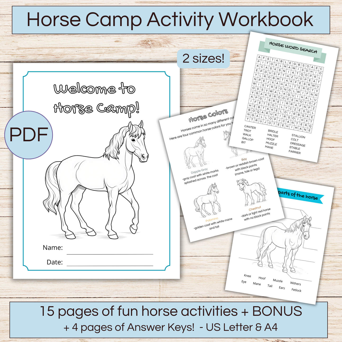 Horse camp activity and coloring workbook -US letter and A4