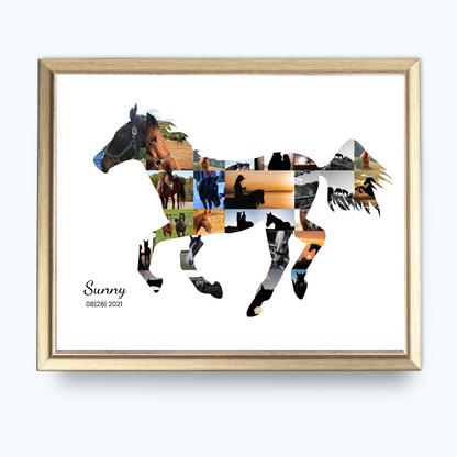 Horse photo picture collage custom frame editable template