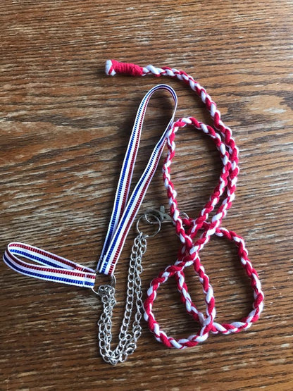 Hobby Horse Show Halter+ lead rope