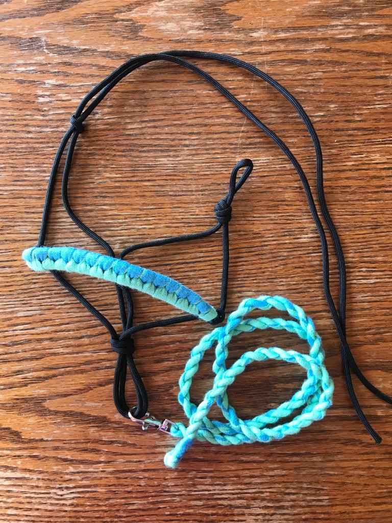 Rope halter + Lead rope