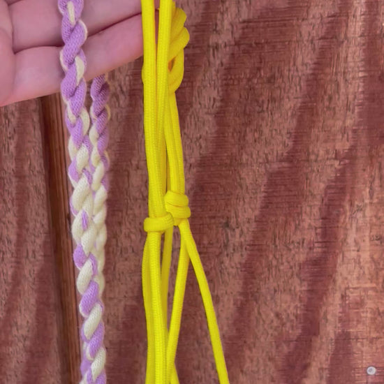 Hand holding a yellow and purple hobby horse halter against a wooden background