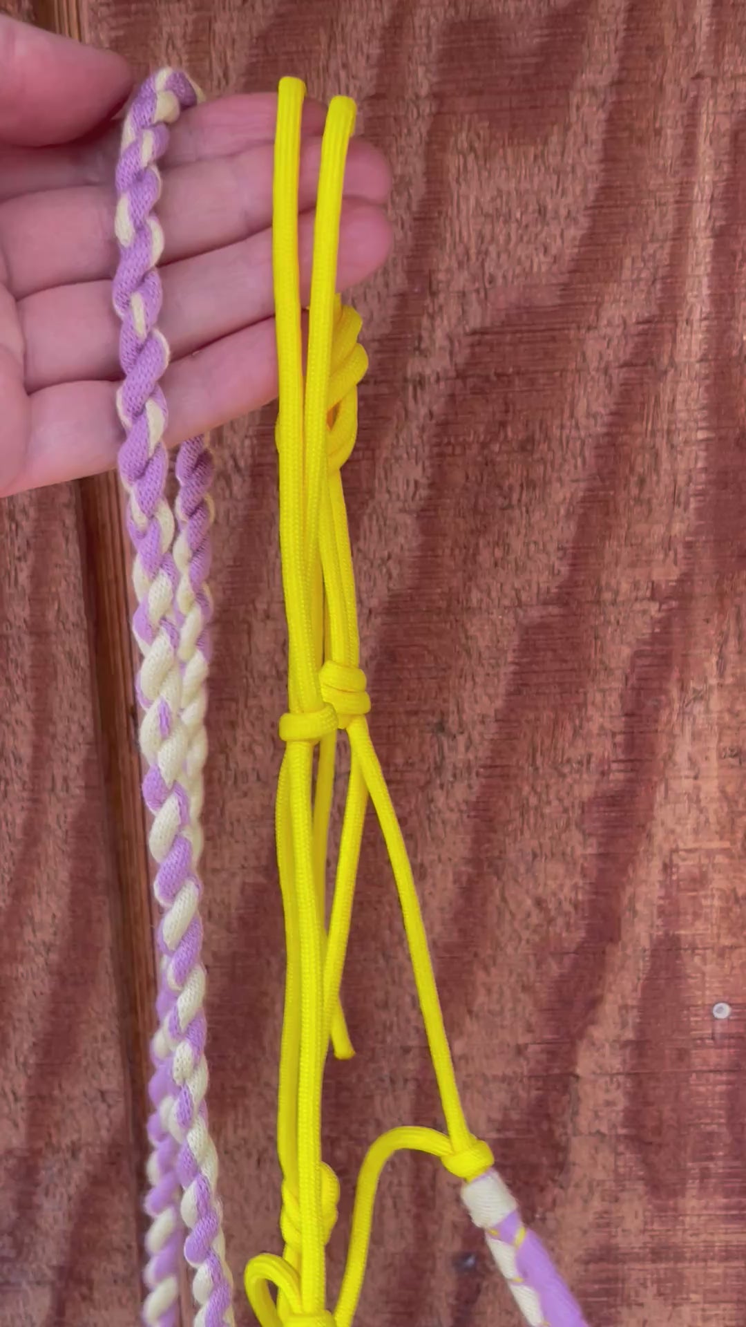 Hand holding a yellow and purple hobby horse halter against a wooden background