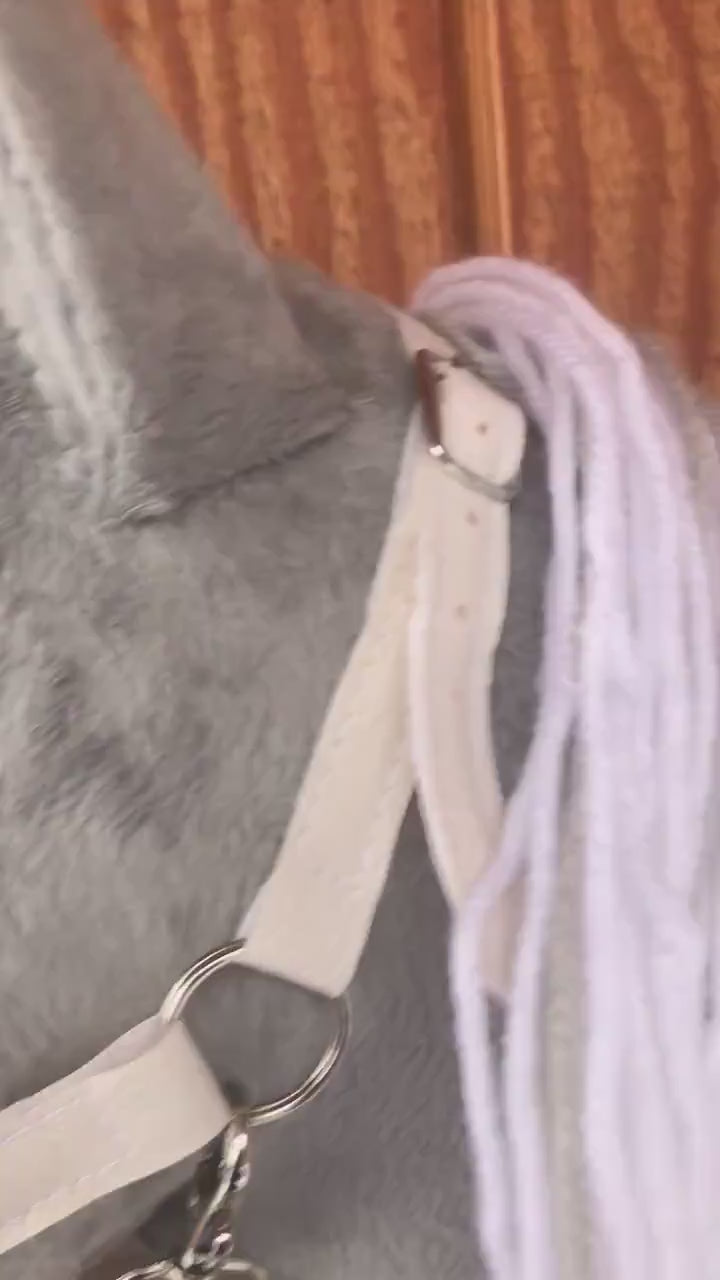 Video of grey horse showing off white halter