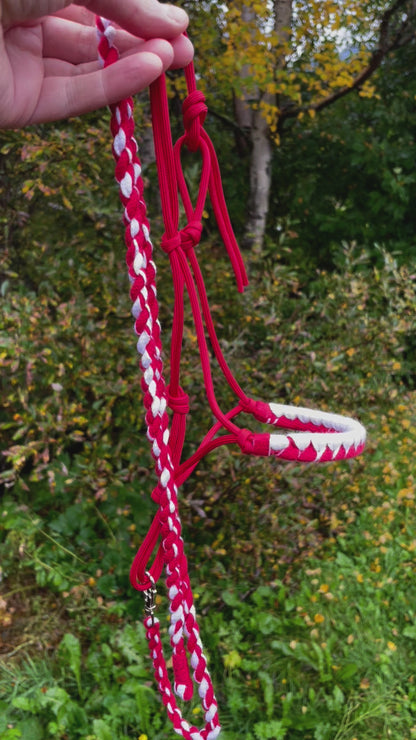 hobby horse rope halter and lead rope red and white