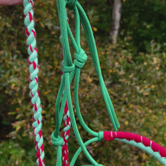 hobby horse rope halter and lead rope red and green