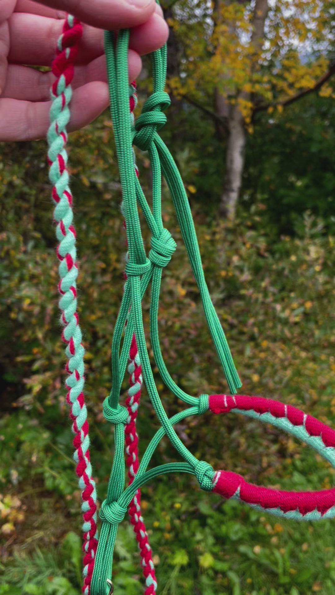 hobby horse rope halter and lead rope red and green