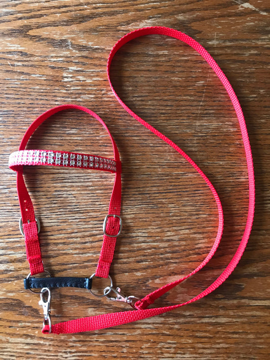 Hobby horse bridle red with bling on the brow band